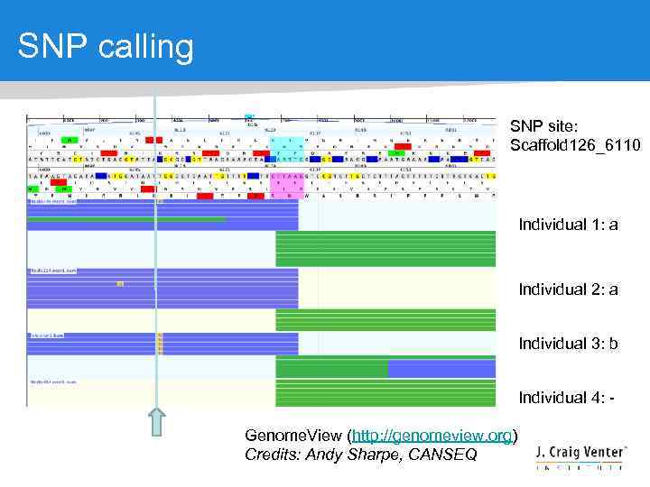 SNP calling SNP site: Scaffold 126_6110 Individual 1: a Individual 2: a Individual 3: