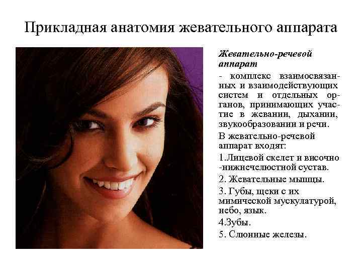 Прикладная анатомия жевательного аппарата Жевательно-речевой аппарат - комплекс взаимосвязанных и взаимодействующих систем и отдельных