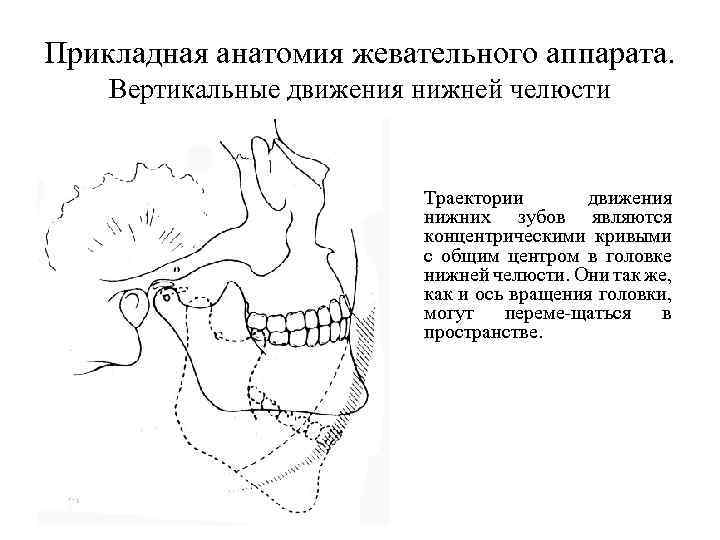 Аппараты воспроизводящие вертикальные движения нижней челюсти