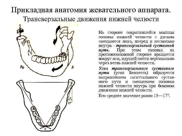 Аппараты воспроизводящие вертикальные движения нижней челюсти