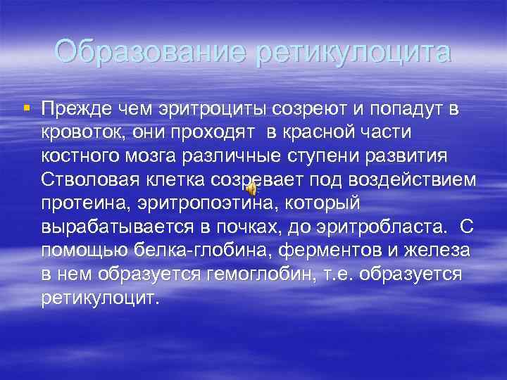 Образование ретикулоцита § Прежде чем эритроциты созреют и попадут в кровоток, они проходят в