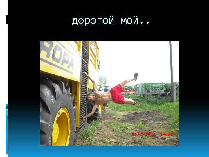 дорогой мой. . 