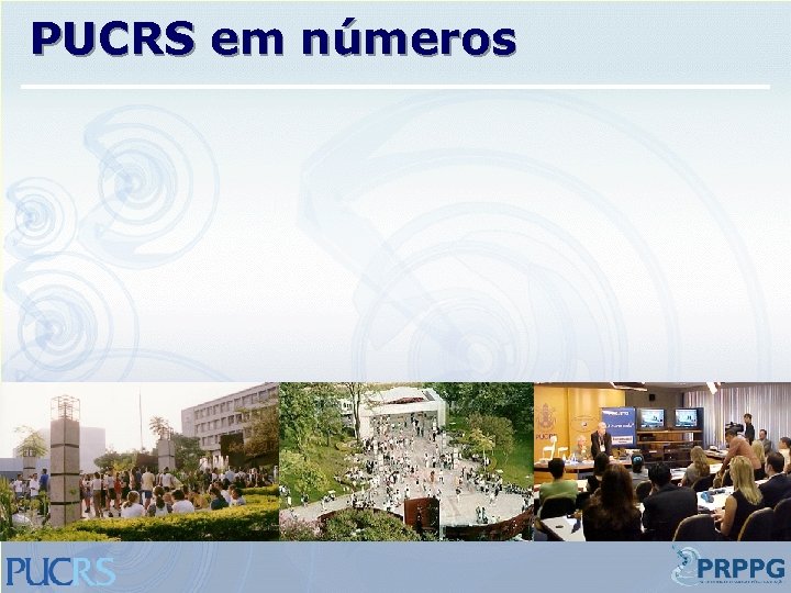 PUCRS em números 