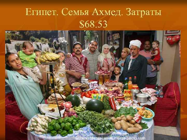 Египет. Семья Ахмед. Затраты $68. 53 