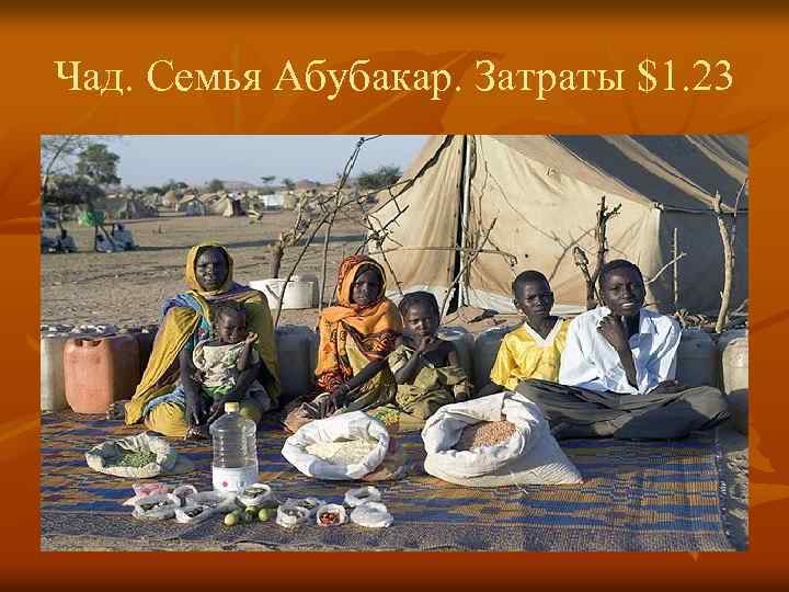 Чад. Семья Абубакар. Затраты $1. 23 
