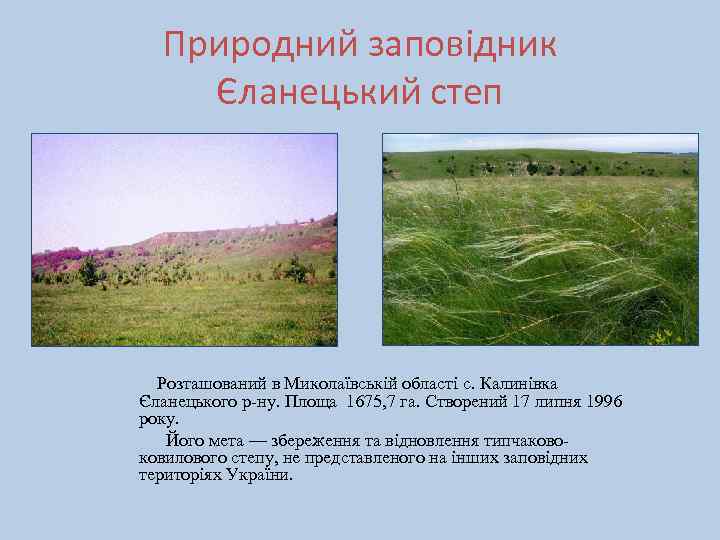 Природний заповідник Єланецький степ Розташований в Миколаївській області с. Калинівка Єланецького р-ну. Площа 1675,