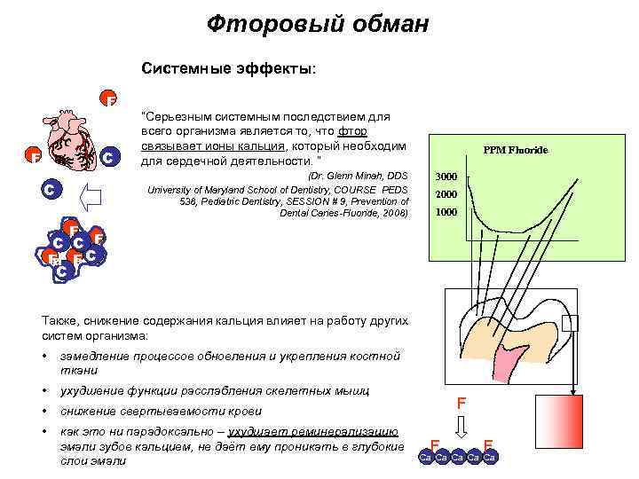 Фторовый обман Системные эффекты: F F C a “Серьезным системным последствием для всего организма