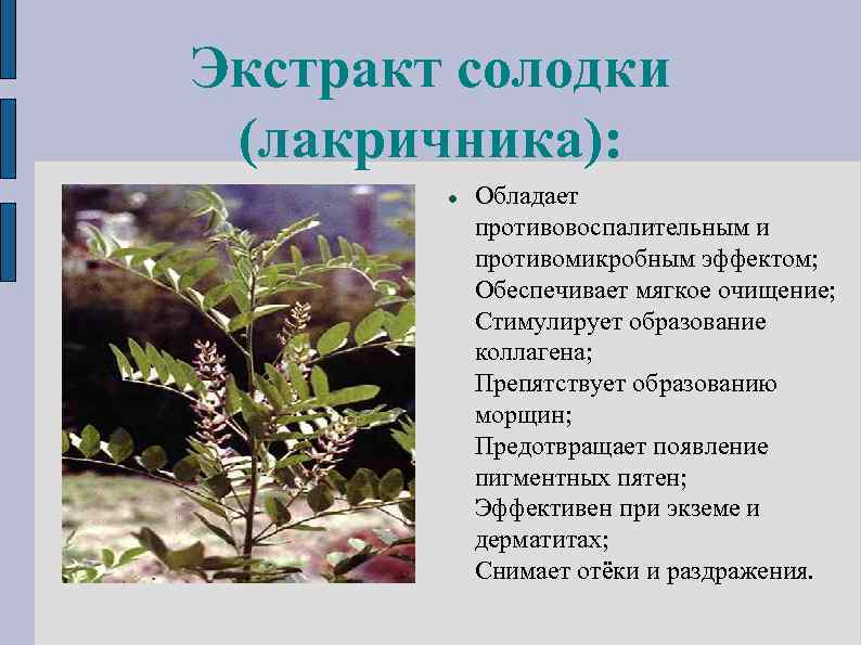 Экстракт солодки (лакричника): Обладает противовоспалительным и противомикробным эффектом; Обеспечивает мягкое очищение; Стимулирует образование коллагена;