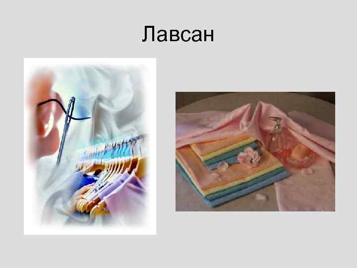 Лавсан 