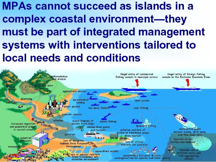 MPAs cannot succeed as islands in a complex coastal environment—they must be part of