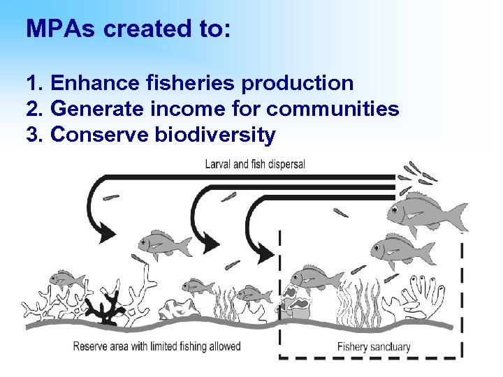 MPAs created to: 1. Enhance fisheries production 2. Generate income for communities 3. Conserve