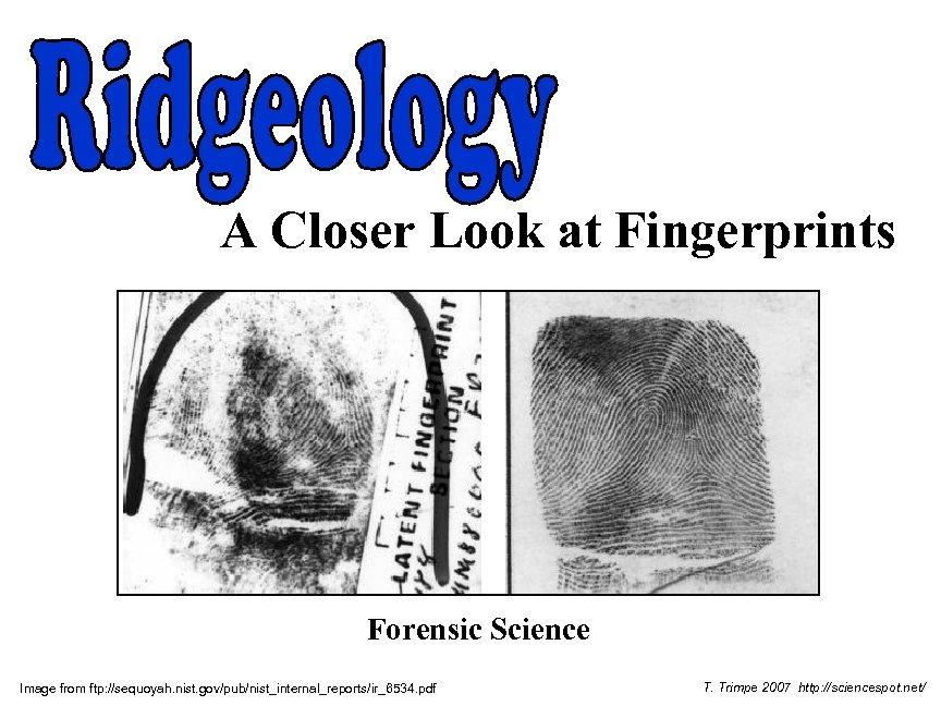 A Closer Look at Fingerprints Forensic Science Image from ftp: //sequoyah. nist. gov/pub/nist_internal_reports/ir_6534. pdf