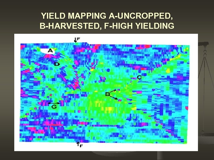YIELD MAPPING A-UNCROPPED, B-HARVESTED, F-HIGH YIELDING 