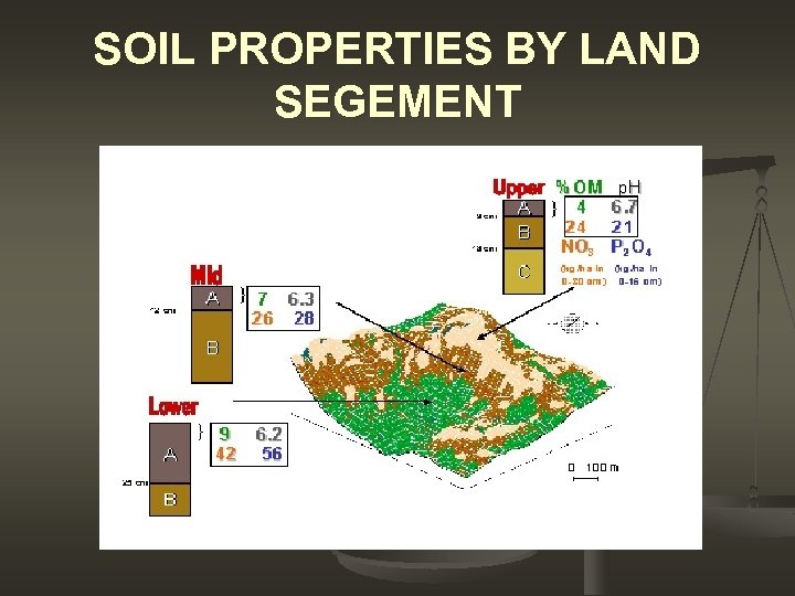 SOIL PROPERTIES BY LAND SEGEMENT 