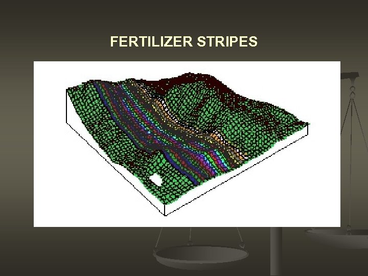FERTILIZER STRIPES 