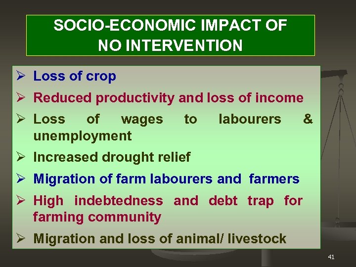 SOCIO-ECONOMIC IMPACT OF NO INTERVENTION Ø Loss of crop Ø Reduced productivity and loss