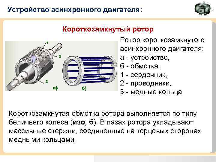 Роторы асинхронных машин бывают