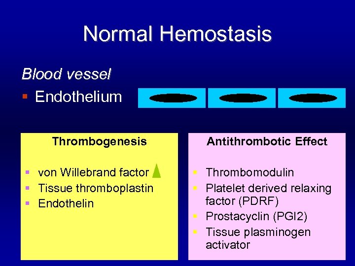 Normal Hemostasis Blood vessel § Endothelium Thrombogenesis § von Willebrand factor § Tissue thromboplastin