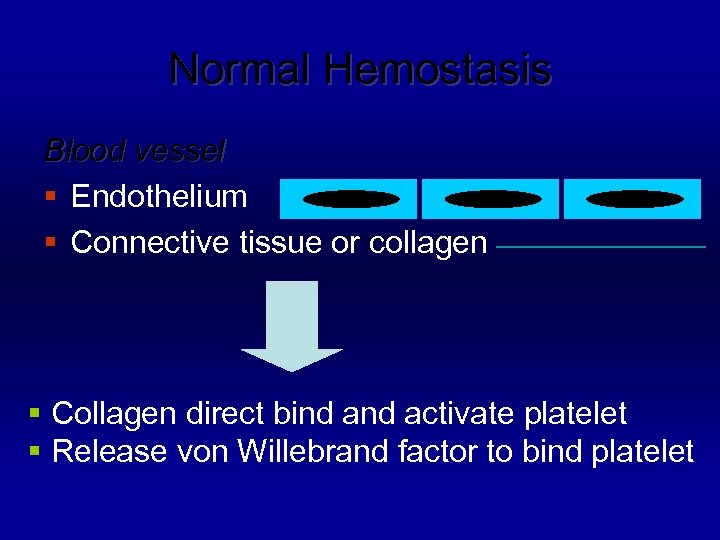 Normal Hemostasis Blood vessel § Endothelium § Connective tissue or collagen § Collagen direct