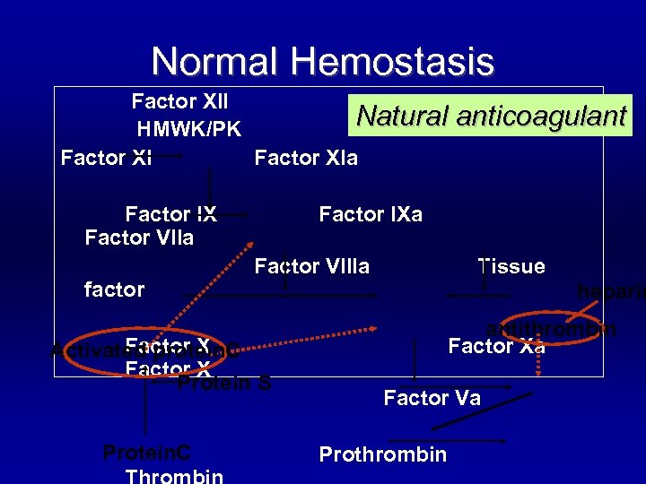 Normal Hemostasis Factor XII Natural HMWK/PK Factor XIa Factor IX Factor VIIa factor Factor