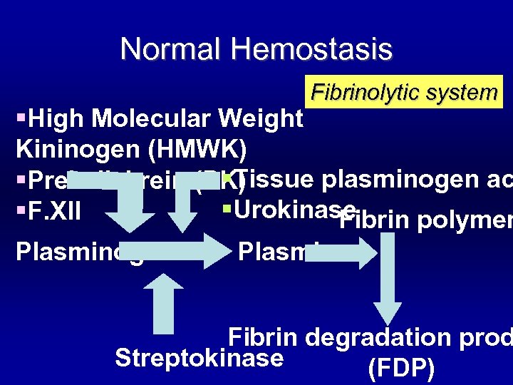 Normal Hemostasis Fibrinolytic system §High Molecular Weight Kininogen (HMWK) §Tissue plasminogen ac §Prekallekrein (PK)
