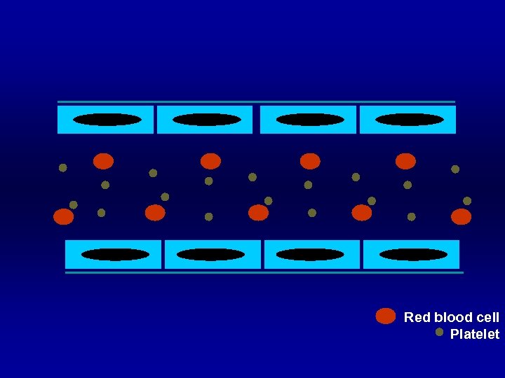 Red blood cell Platelet 