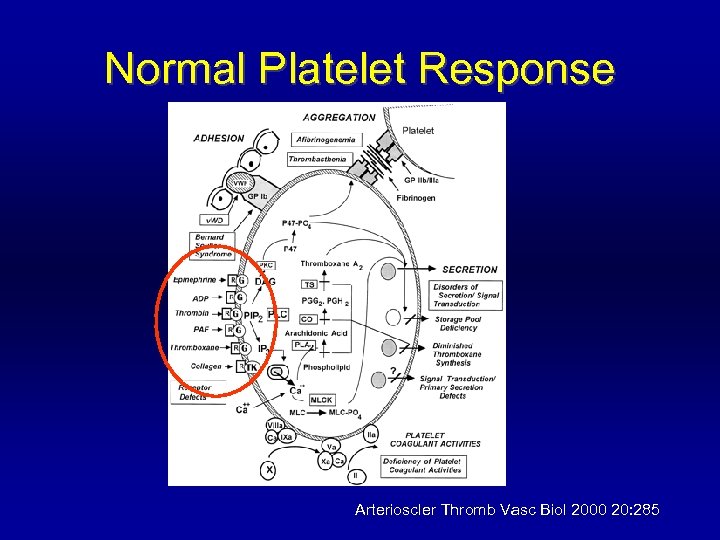 Normal Platelet Response Arterioscler Thromb Vasc Biol 2000 20: 285 