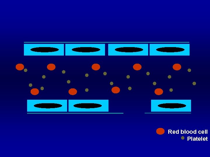 Red blood cell Platelet 