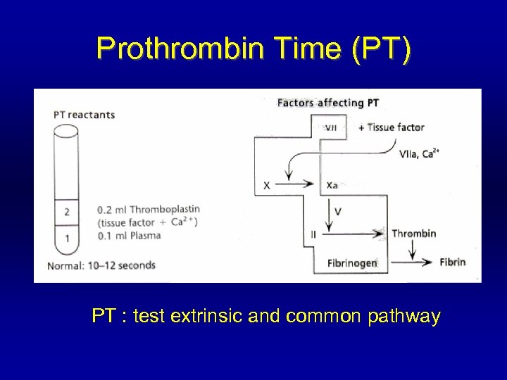 Prothrombin Time (PT) PT : test extrinsic and common pathway 