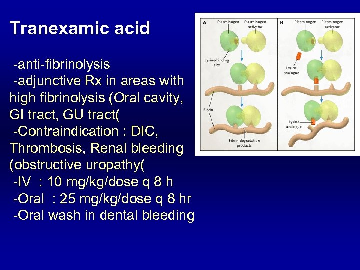 Tranexamic acid -anti-fibrinolysis -adjunctive Rx in areas with high fibrinolysis (Oral cavity, GI tract,