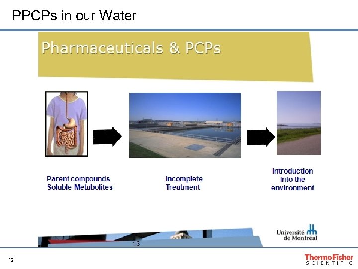 PPCPs in our Water 12 