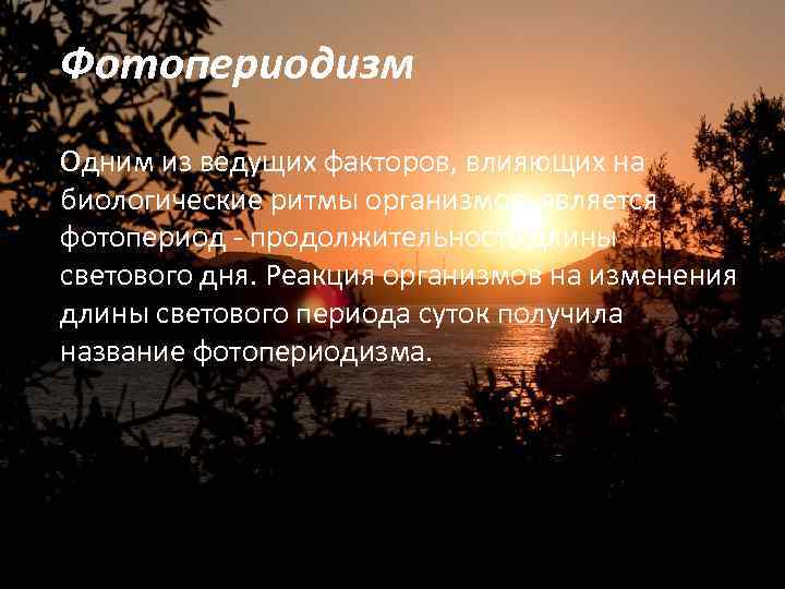 Фотопериодизм Одним из ведущих факторов, влияющих на биологические ритмы организмов, является фотопериод - продолжительность