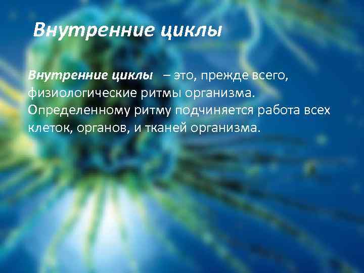  Внутренние циклы – это, прежде всего, физиологические ритмы организма. Определенному ритму подчиняется работа