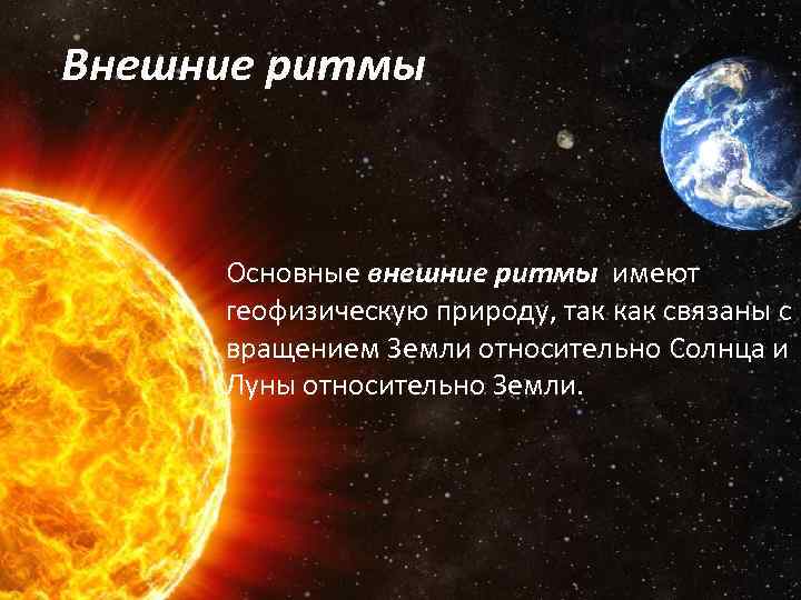 Внешние ритмы Основные внешние ритмы имеют геофизическую природу, так как связаны с вращением Земли