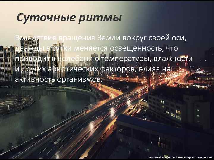 Суточные ритмы Вследствие вращения Земли вокруг своей оси, дважды в сутки меняется освещенность, что