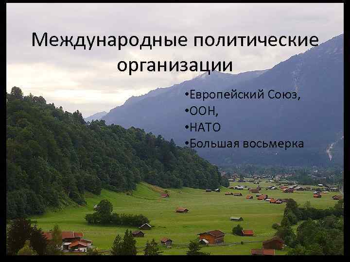 Международные политические организации • Европейский Союз, • ООН, • НАТО • Большая восьмерка 