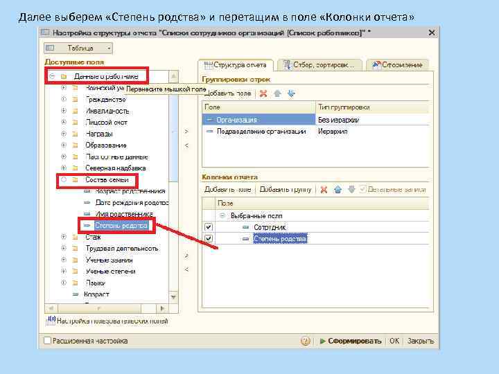 Далее выберем «Степень родства» и перетащим в поле «Колонки отчета» 