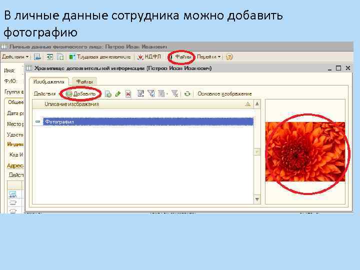 В личные данные сотрудника можно добавить фотографию 