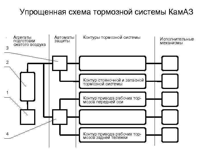 Упрощенная схема тормозной системы Кам. АЗ. 3 Агрегаты подготовки сжатого воздуха Автоматы защиты Контуры