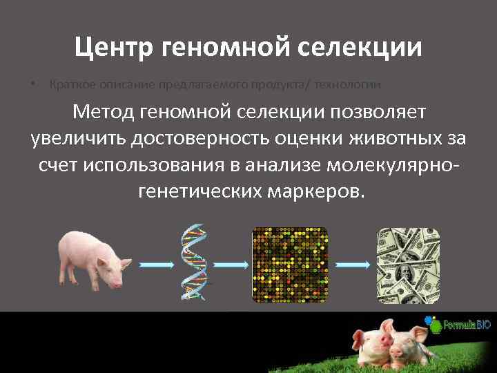 Центр геномной селекции • Краткое описание предлагаемого продукта/ технологии Метод геномной селекции позволяет увеличить