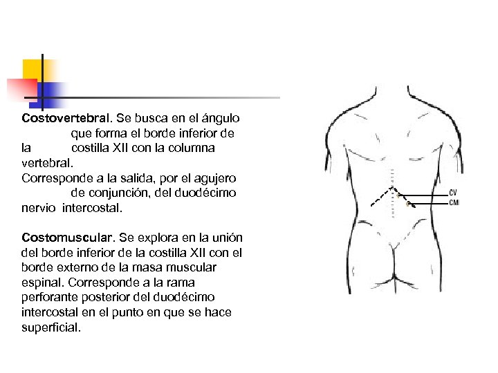 Costovertebral. Se busca en el ángulo que forma el borde inferior de la costilla