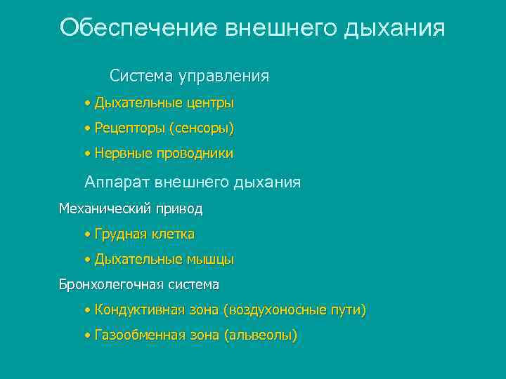 Обеспечение внешнего дыхания Система управления • Дыхательные центры • Рецепторы (сенсоры) • Нервные проводники