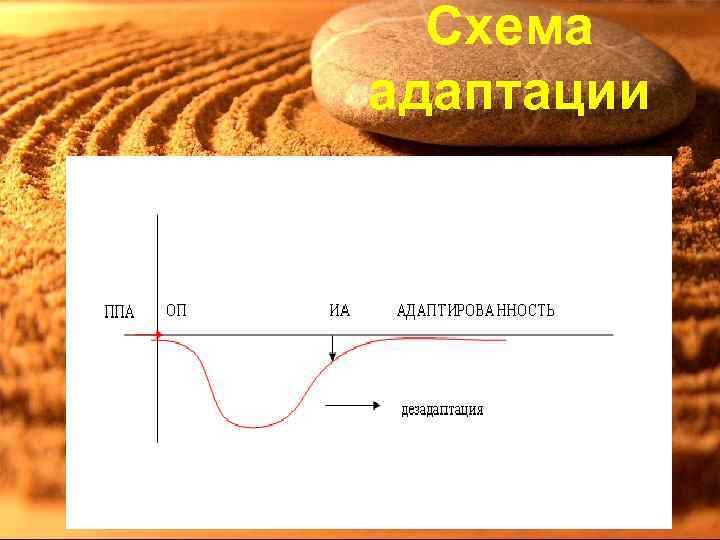Схема адаптации 