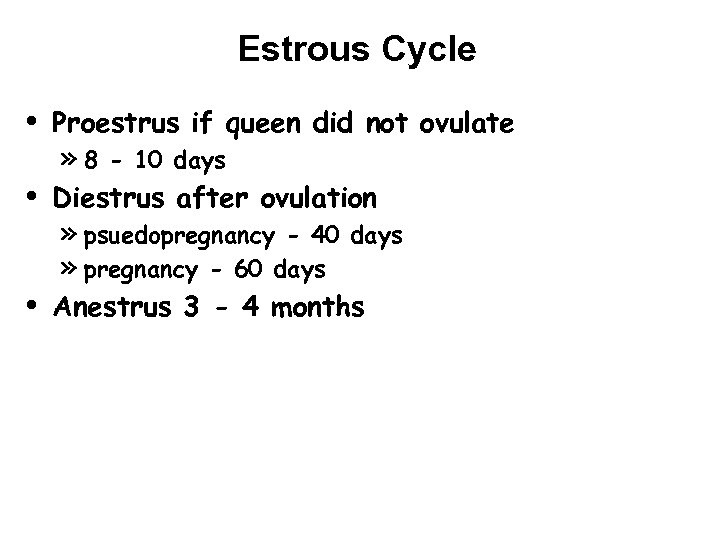 Estrous Cycle • • • Proestrus if queen did not ovulate » 8 -