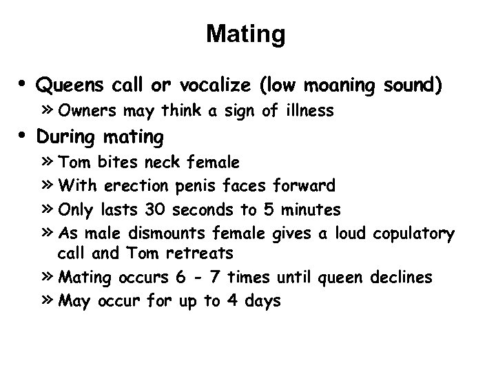 Mating • • Queens call or vocalize (low moaning sound) » Owners may think