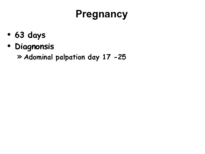 Pregnancy • • 63 days Diagnonsis » Adominal palpation day 17 -25 