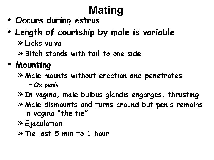  • • • Mating Occurs during estrus Length of courtship by male is