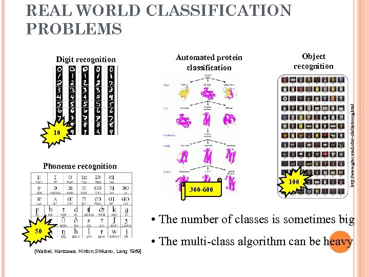 REAL WORLD CLASSIFICATION PROBLEMS Automated protein classification Object recognition 10 Phoneme recognition 300 -600