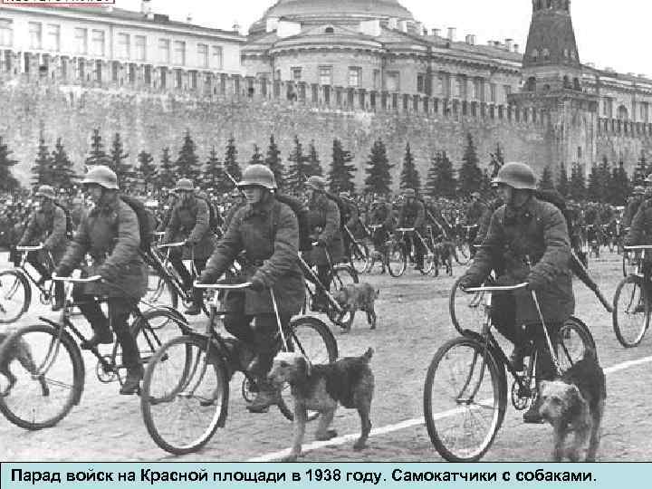 Парад войск на Красной площади в 1938 году. Самокатчики с собаками. 