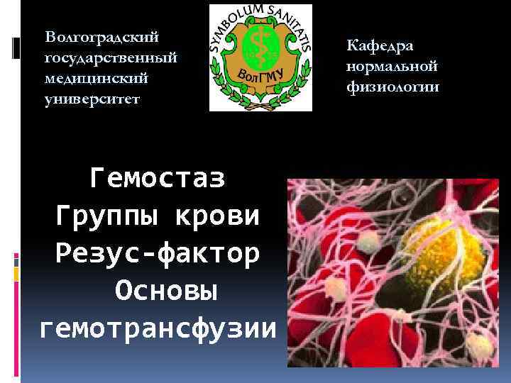 Волгоградский государственный медицинский университет Гемостаз Группы крови Резус-фактор Основы гемотрансфузии Кафедра нормальной физиологии 